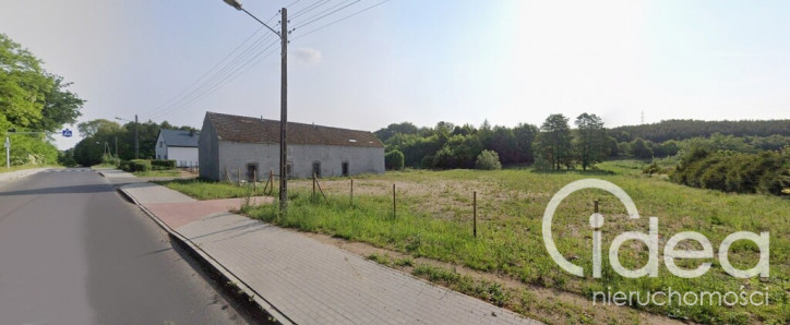 Działka Sprzedaż Recz Leśna 3