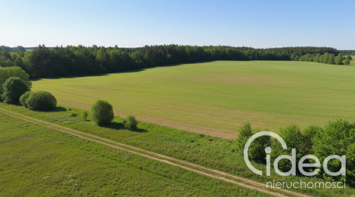 Działka Sprzedaż Krzemień 5