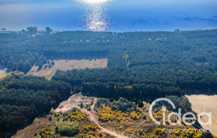 Działka Sprzedaż Dargobądz 1