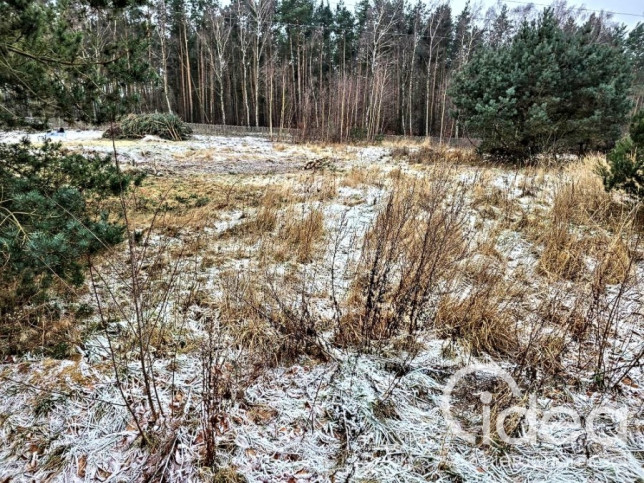 Działka Sprzedaż Dargobądz 2