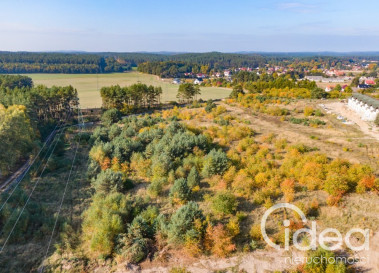 Działka Sprzedaż Dargobądz