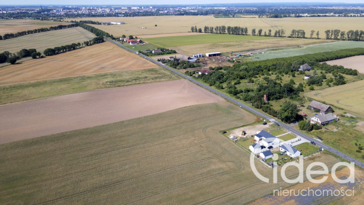 Działka Sprzedaż Grabowo 5