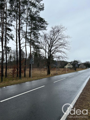 Działka Sprzedaż Brzózki 9