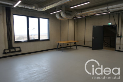 Lokal Wynajem Dołuje