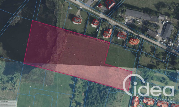 Działka Sprzedaż Zieleniewo 3