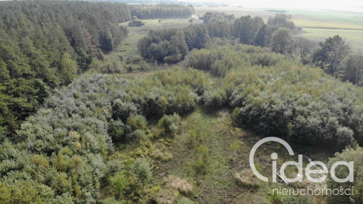 Działka Sprzedaż Rów 3