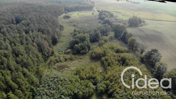 Działka Sprzedaż Rów 2