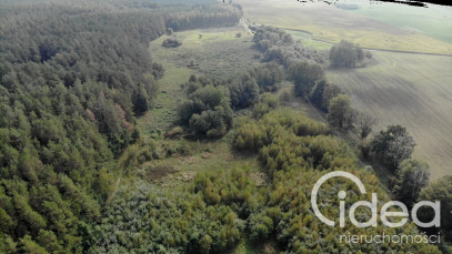 Działka Sprzedaż Rów
