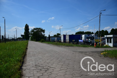 Działka Wynajem Szczecin Dąbie