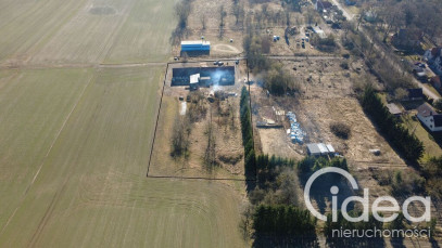 Działka Sprzedaż Dzikowo