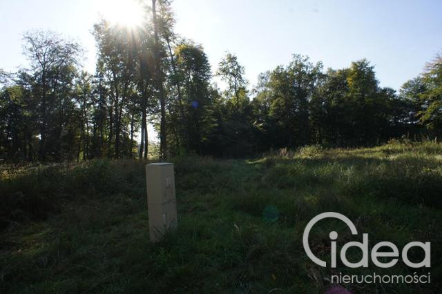 Działka Sprzedaż Dobra 6