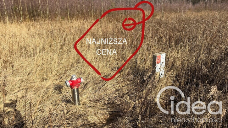 Działka Sprzedaż Żółwia Błoć 1