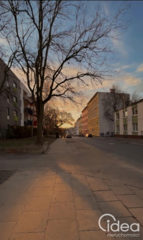 Lokal Wynajem Szczecin Śródmieście Jana Kazimierza 10