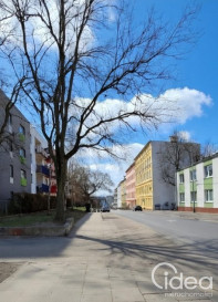 Lokal Wynajem Szczecin Śródmieście Jana Kazimierza