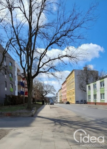 Lokal Wynajem Szczecin Śródmieście Jana Kazimierza 9