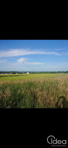 Działka Sprzedaż Szczecin Skolwin Inwalidzka 1