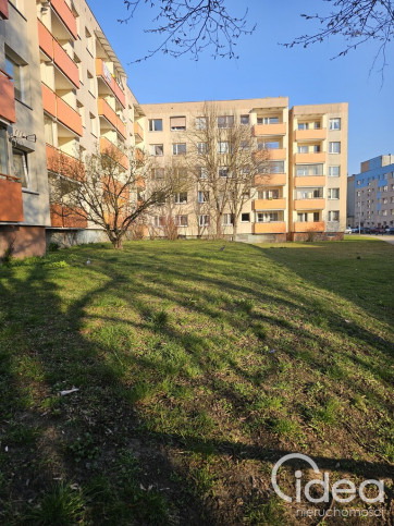 Mieszkanie Sprzedaż Szczecin Niebuszewo Księżnej Anastazji 19