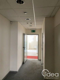Lokal Wynajem Szczecin Centrum