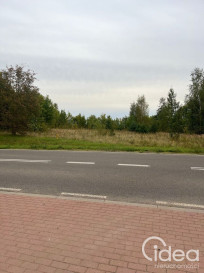 Działka Sprzedaż Storkowo