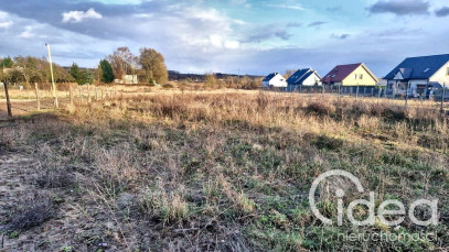 Działka Sprzedaż Gryfino