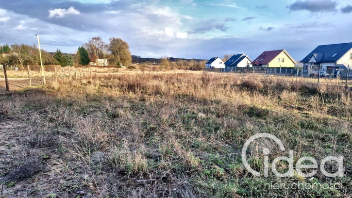 Działka Sprzedaż Gryfino 5