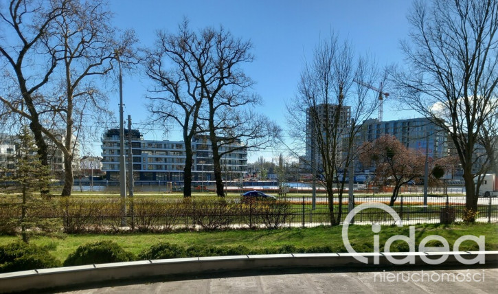 Lokal Wynajem Szczecin Śródmieście 3