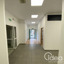 Lokal Wynajem Szczecin Centrum