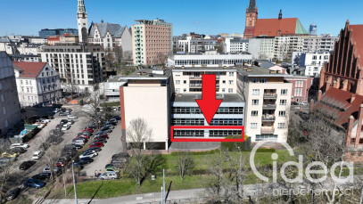 Lokal Wynajem Szczecin Śródmieście