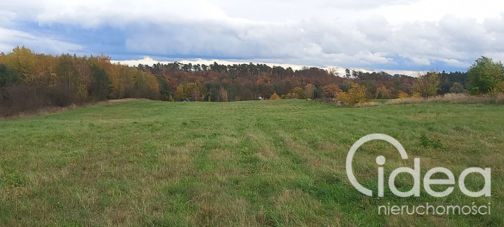 Działka Sprzedaż Steklno 2