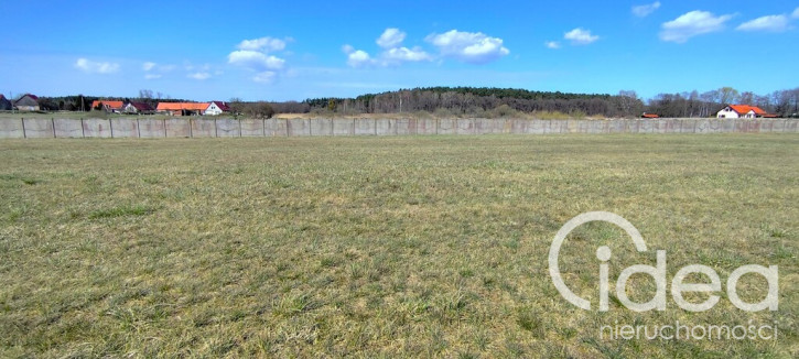 Działka Sprzedaż Zabierzewo 4