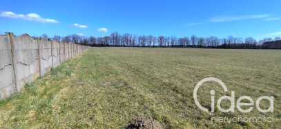 Działka Sprzedaż Zabierzewo