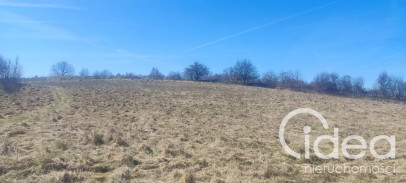 Działka Sprzedaż Linówko