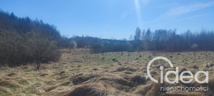 Działka Sprzedaż Linówko 11