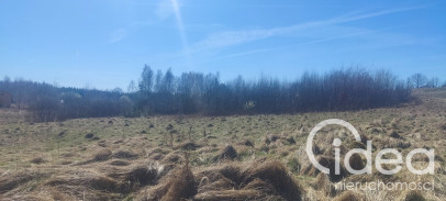 Działka Sprzedaż Linówko