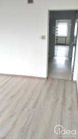 Lokal Wynajem Szczecin Śródmieście-Centrum