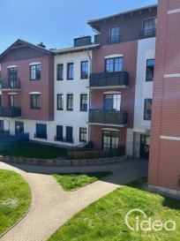 Mieszkanie Wynajem Szczecin Warszewo Poznańska