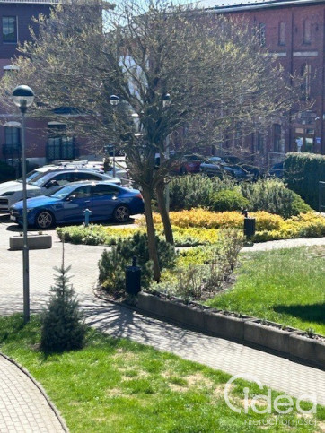 Mieszkanie Wynajem Szczecin Warszewo Poznańska 25