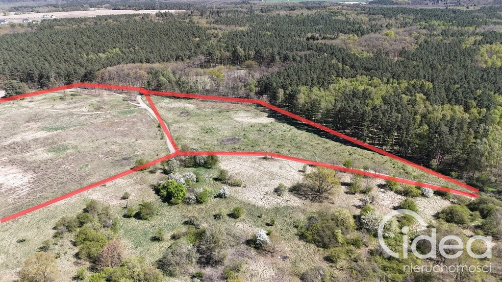 Działka Sprzedaż Daleszewo 9