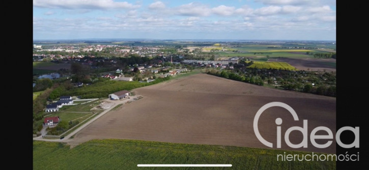 Działka Sprzedaż Pyrzyce 6