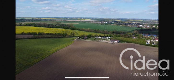 Działka Sprzedaż Pyrzyce 1