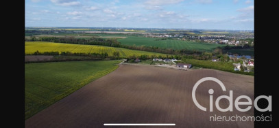 Działka Sprzedaż Pyrzyce