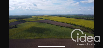 Działka Sprzedaż Pyrzyce
