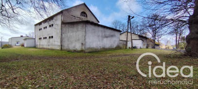 Obiekt Sprzedaż Budno