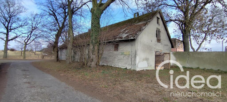 Obiekt Sprzedaż Budno 4