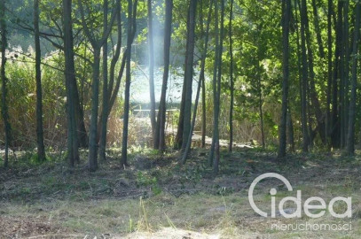 Działka Sprzedaż Zieleniewo