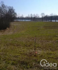 Działka Sprzedaż Kaszewo