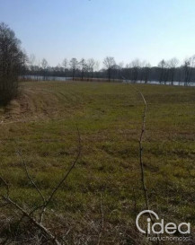 Działka Sprzedaż Kaszewo