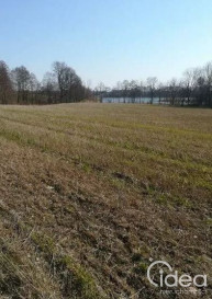 Działka Sprzedaż Kaszewo
