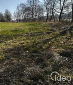 Działka Sprzedaż Kaszewo