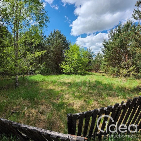 Dom Sprzedaż Dominikowo Leśna Polana 21